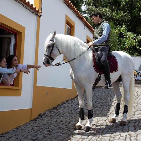 Villa Quinta Do Malhinha- Turismo à Angra do Heroísmo Extérieur photo