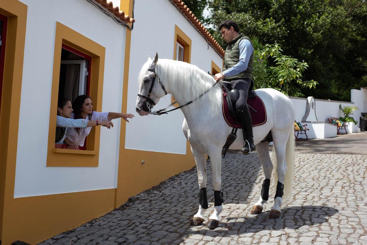 Villa Quinta Do Malhinha- Turismo à Angra do Heroísmo Extérieur photo