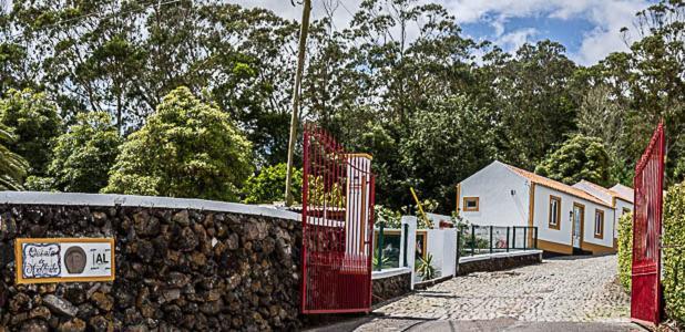 Villa Quinta Do Malhinha- Turismo à Angra do Heroísmo Extérieur photo