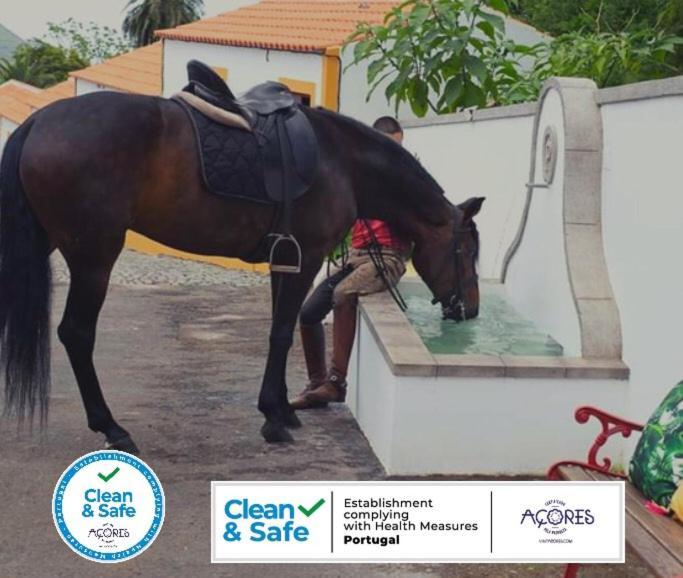 Villa Quinta Do Malhinha- Turismo à Angra do Heroísmo Extérieur photo